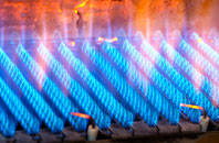 Resugga Green gas fired boilers